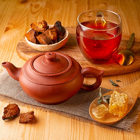 Chaga &ndash; Wunder der Natur