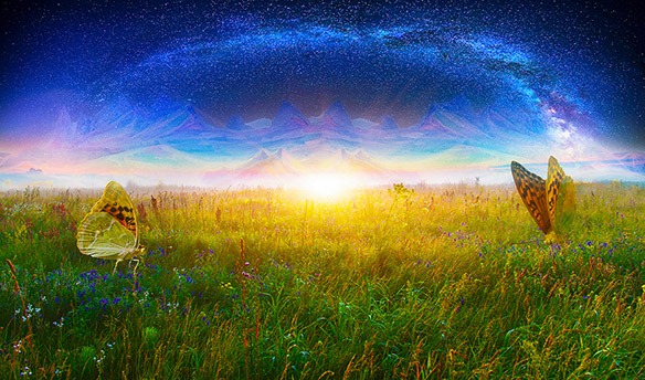 Gottes Sch&ouml;pfungston